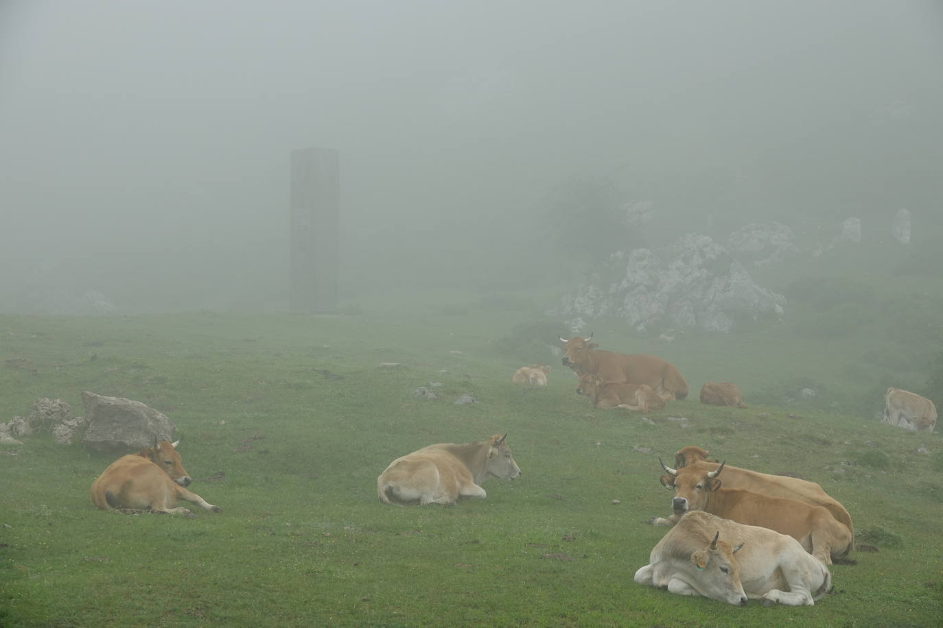 La niebla y los efectos del coronavirus provocan que los Lagos de Covadonga continuaran hoy con una afluencia notablemente inferior a la habitual