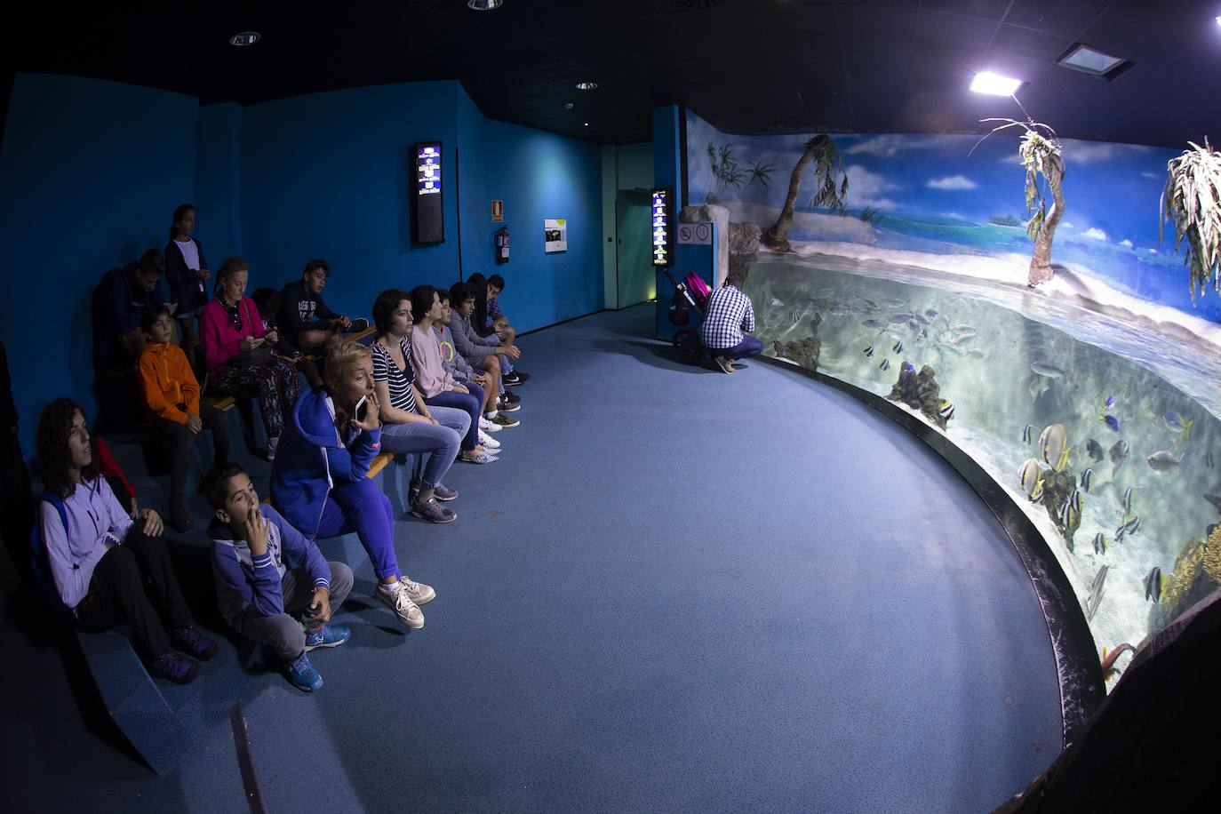 Ya han pasado 14 años de aquel 9 de junio en el que el Acuario de Gijón abrió sus puertas por primera vez. Desde entonces se ha convertido en uno de los puntos turísticos preferidos para pequeños y mayores en el que se puede observar la vida subacuática y disfrutar de su biodiversidad, con las más de 400 especies que alberga el centro. Además, a lo largo de estos años, el Acuario de Gijón también ha trabajado para divulgar investigaciones y concienciar sobre la importancia de cuidar el medio ambiente y, en especial, los océanos. 