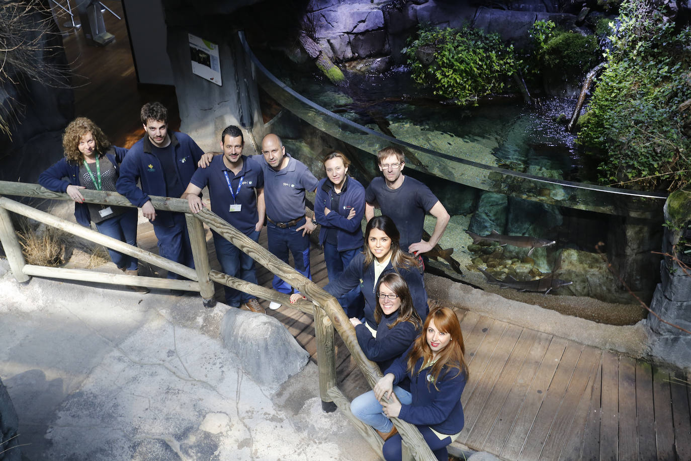 Ya han pasado 14 años de aquel 9 de junio en el que el Acuario de Gijón abrió sus puertas por primera vez. Desde entonces se ha convertido en uno de los puntos turísticos preferidos para pequeños y mayores en el que se puede observar la vida subacuática y disfrutar de su biodiversidad, con las más de 400 especies que alberga el centro. Además, a lo largo de estos años, el Acuario de Gijón también ha trabajado para divulgar investigaciones y concienciar sobre la importancia de cuidar el medio ambiente y, en especial, los océanos. 