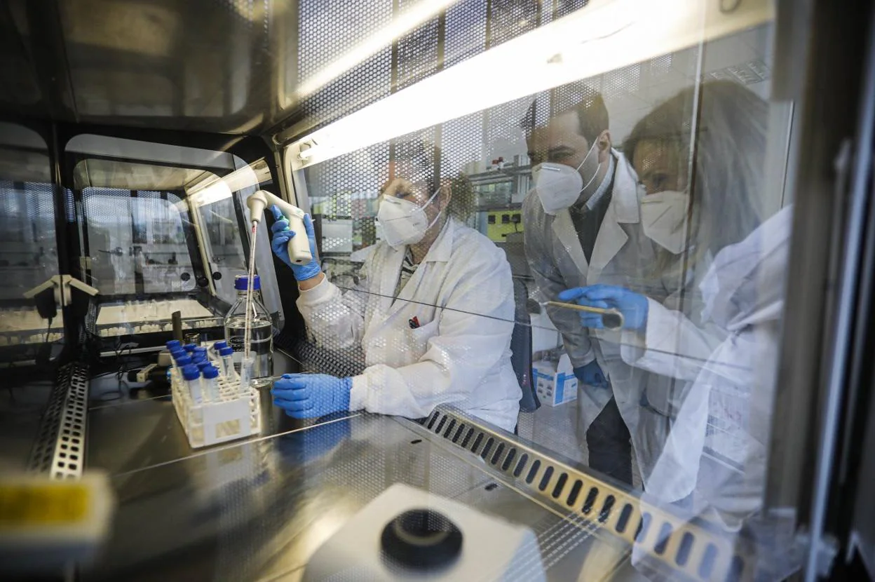 Adolfo Fernández y Belén Cabal observan cómo la bióloga Raquel Díaz realiza un prueba en el laboratorio del Centro de Investigación en Nanomateriales y Nanotecnología (CINN) . 