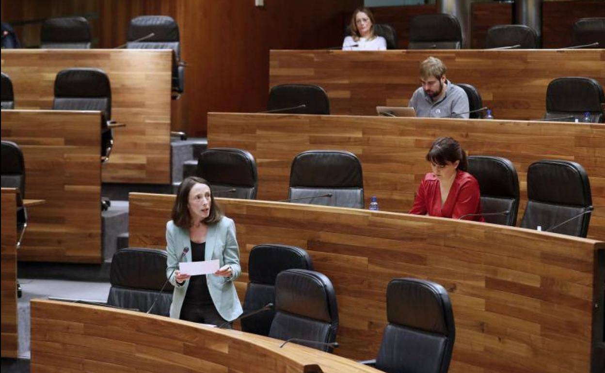 Melania Álvarez, interviniendo en la Junta General del Principado. 