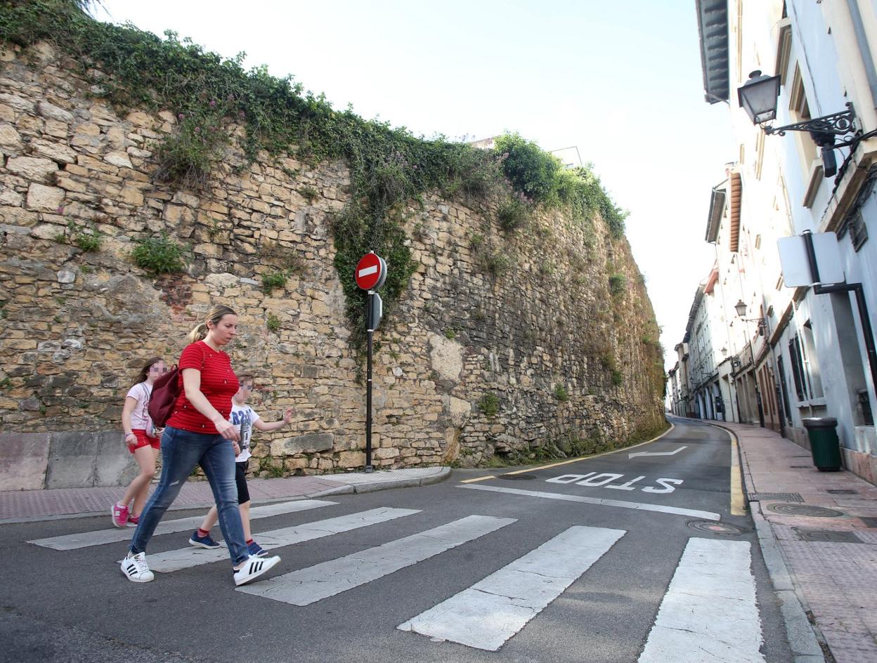 La muralla está tomada por la vegetación. 