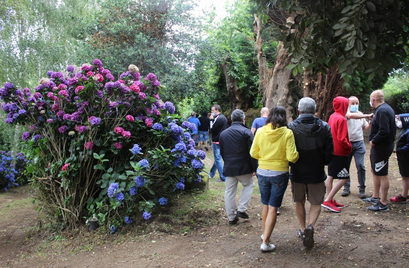 Los jardines de la Fonte Baixa (o de Panrico), el mayor botánico privado de Europa, abren al gran público. Los visitantes podrán pasear por la mitad de sus casi 20 hectáreas, y contemplar especies de los cinco continentes, miradores, plazas, fuentes y esculturas que hacen de este complejo un lugar único. 