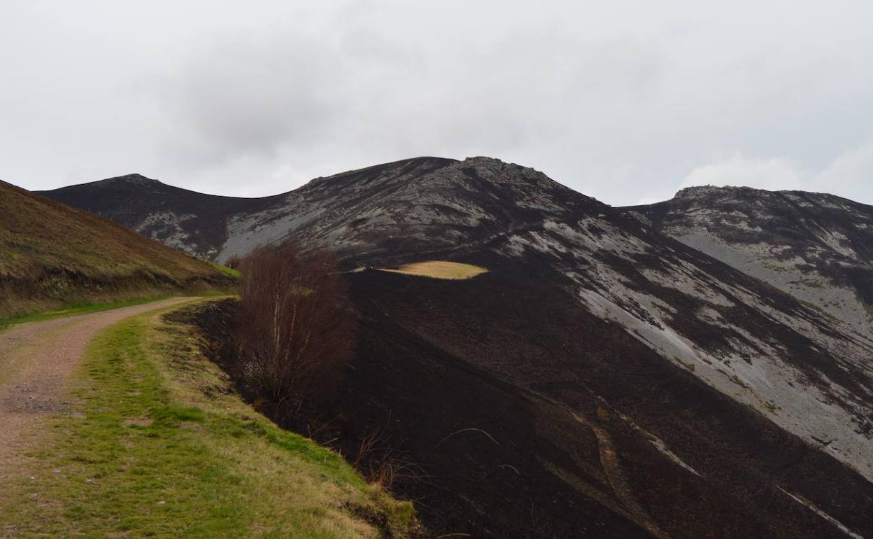 Monte asturiano quemado tras un incendio forestal en febrero de este año.