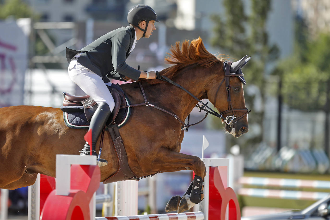 La competición comenzó a partir de las 15.30 horas con la prueba de 1,30 metros con baremo A con cronometro y desempate, mientras que las emociones más fuertes llegaron con la prueba de 1,35 metros con baremo de dos fases. 