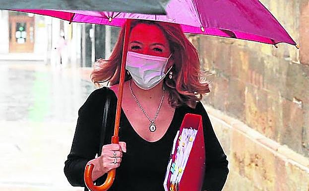 Anticorrupción cree que la argumentación de Mallada carece de justificación jurídica