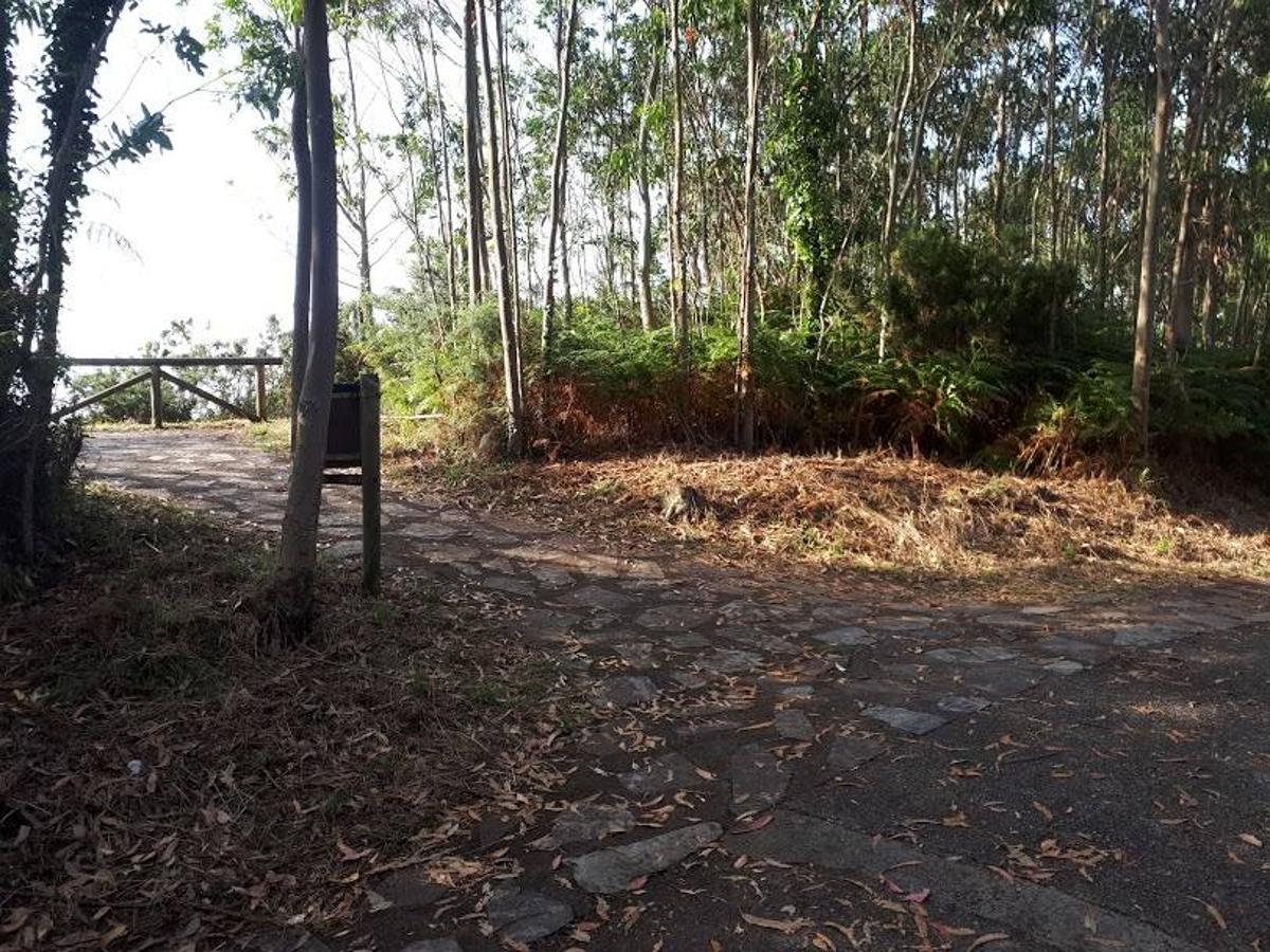 Fotos: Un paseo entre miradores por Muros de Nalón