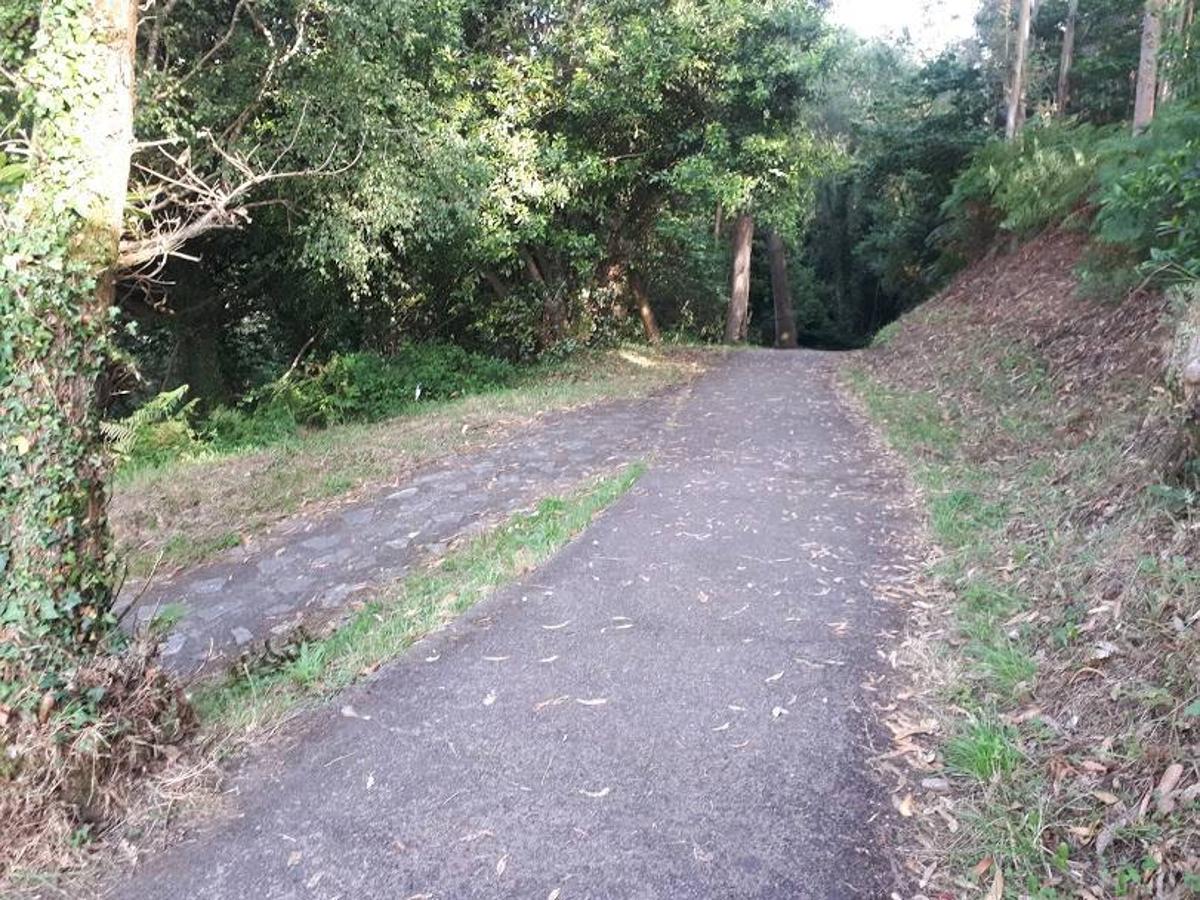 Fotos: Un paseo entre miradores por Muros de Nalón