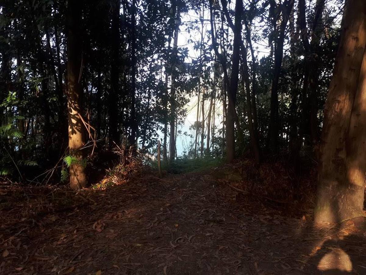 Fotos: Un paseo entre miradores por Muros de Nalón