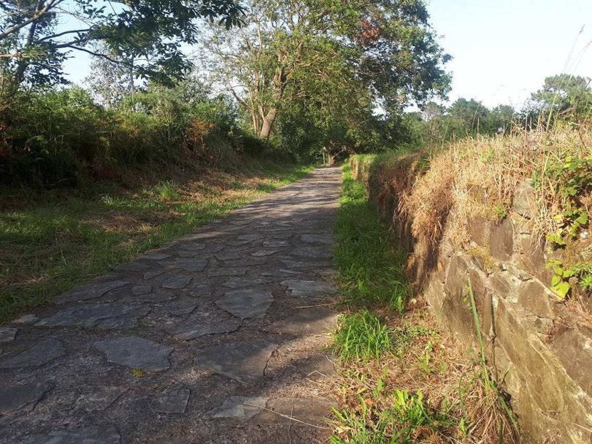 Fotos: Un paseo entre miradores por Muros de Nalón