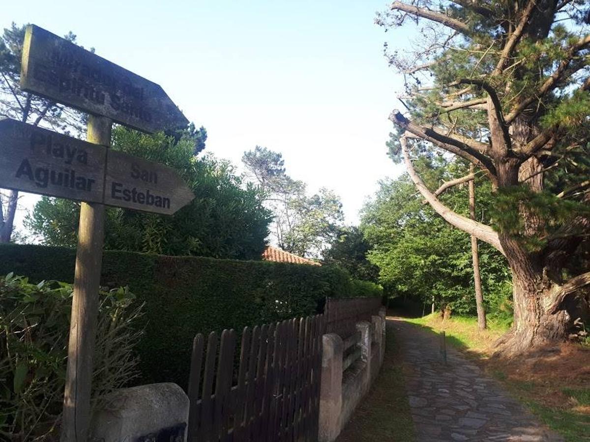 Fotos: Un paseo entre miradores por Muros de Nalón
