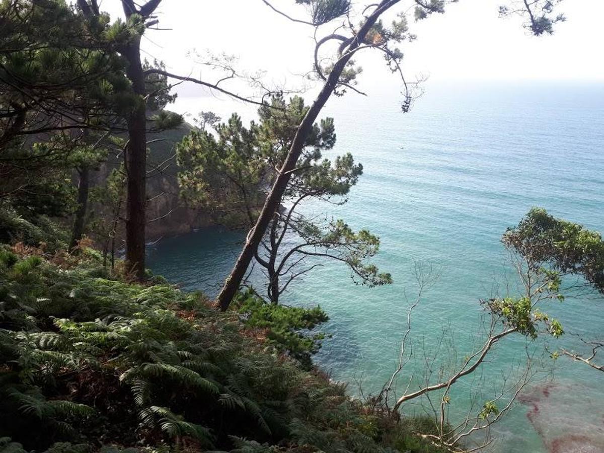 Fotos: Un paseo entre miradores por Muros de Nalón