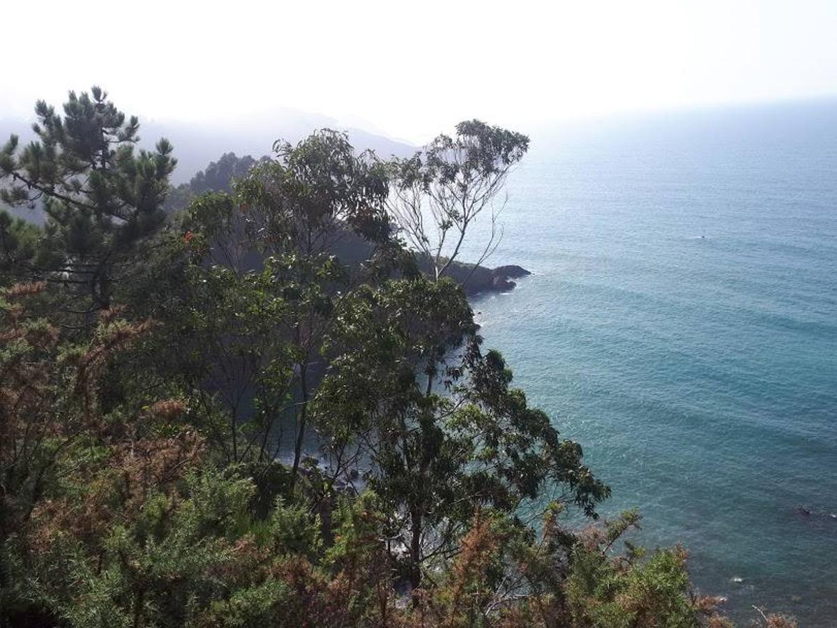 Fotos: Un paseo entre miradores por Muros de Nalón