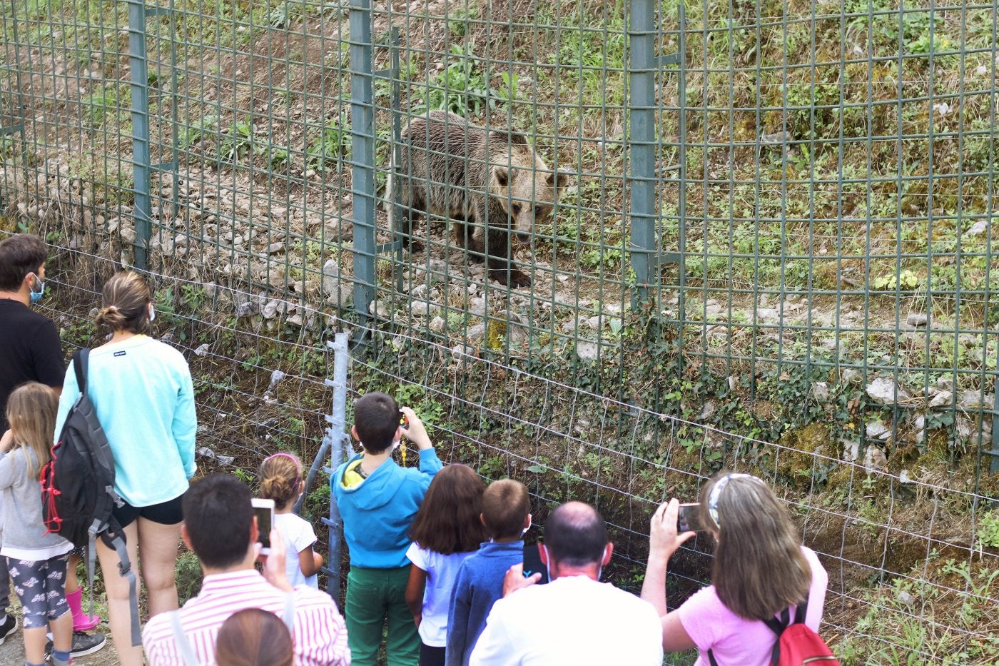 Cercado de osos. Un grupo de gente se sorprende al tener tan cerca un oso.