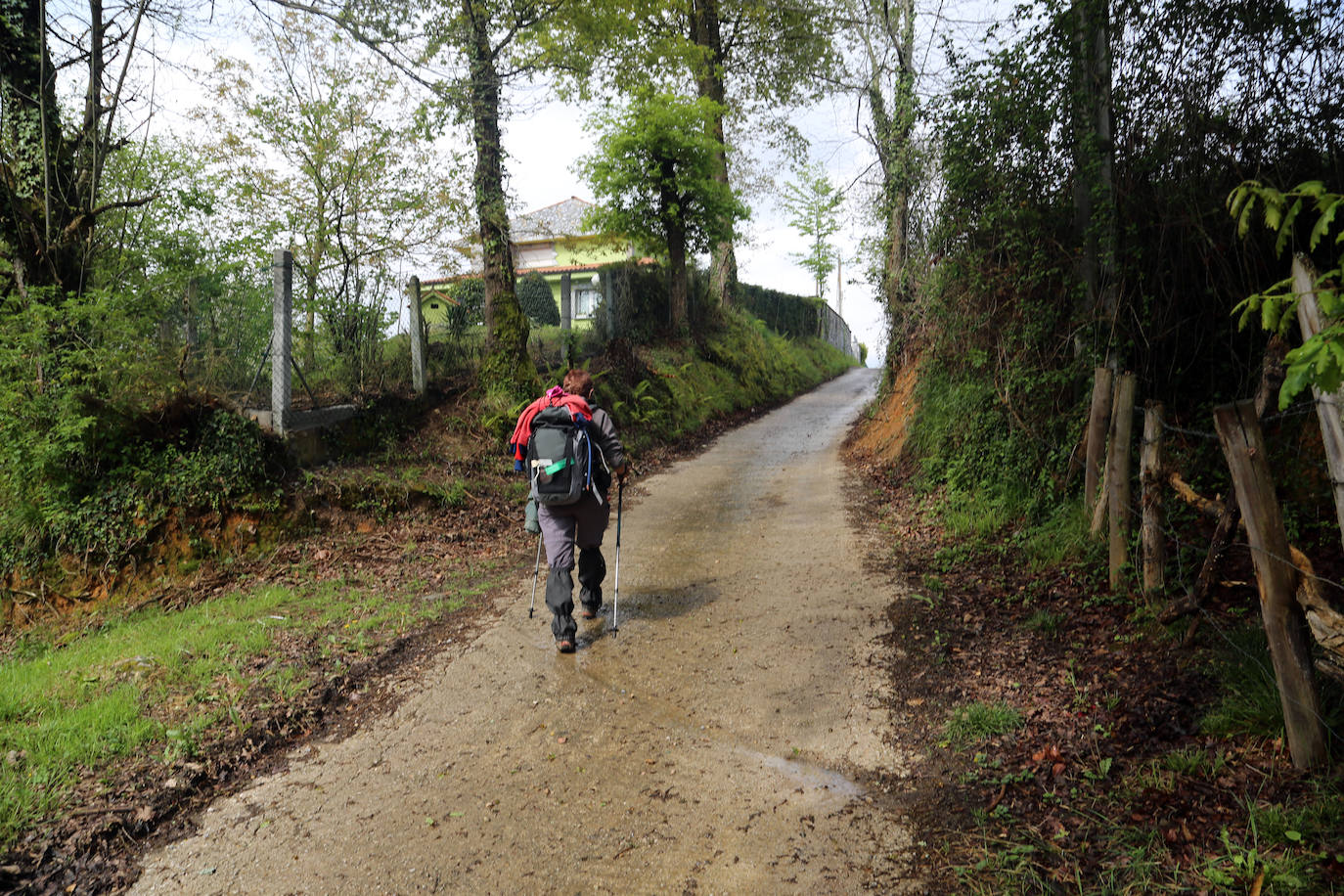 Camino de Santiago.