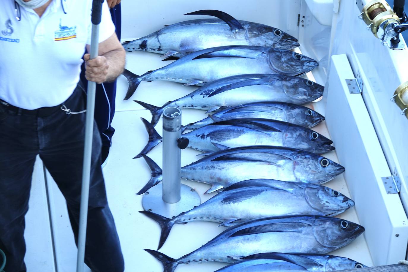 El XIV Concurso de Pesca de Altura, organizado por el Club Náutico Bahía de Lastres, se saldó con 129 bonitos y 1.059 kilos de capturas. La sorpresa de la jornada fue el tamaño de una de las piezas, un atún patudo de 84 kilos capturado por 'La Covina'. 