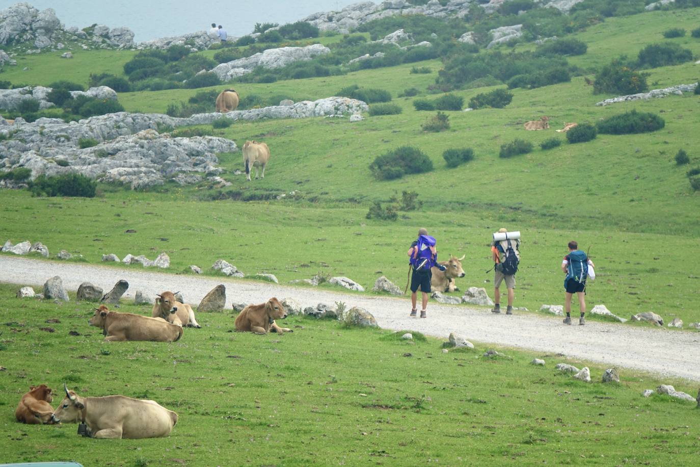 Asturias abarrota playas, ríos, parques, merenderos y terrazas para disfrutar de un fin de semana veraniego.