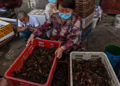 Imagen secundaria 1 - En Wuhan fue donde todo comenzó. Arriba, vista general de la ciudad, debajo en el primer mercado cerrado del mundo y uno de los laboratorios donde primero se analizó el virus 