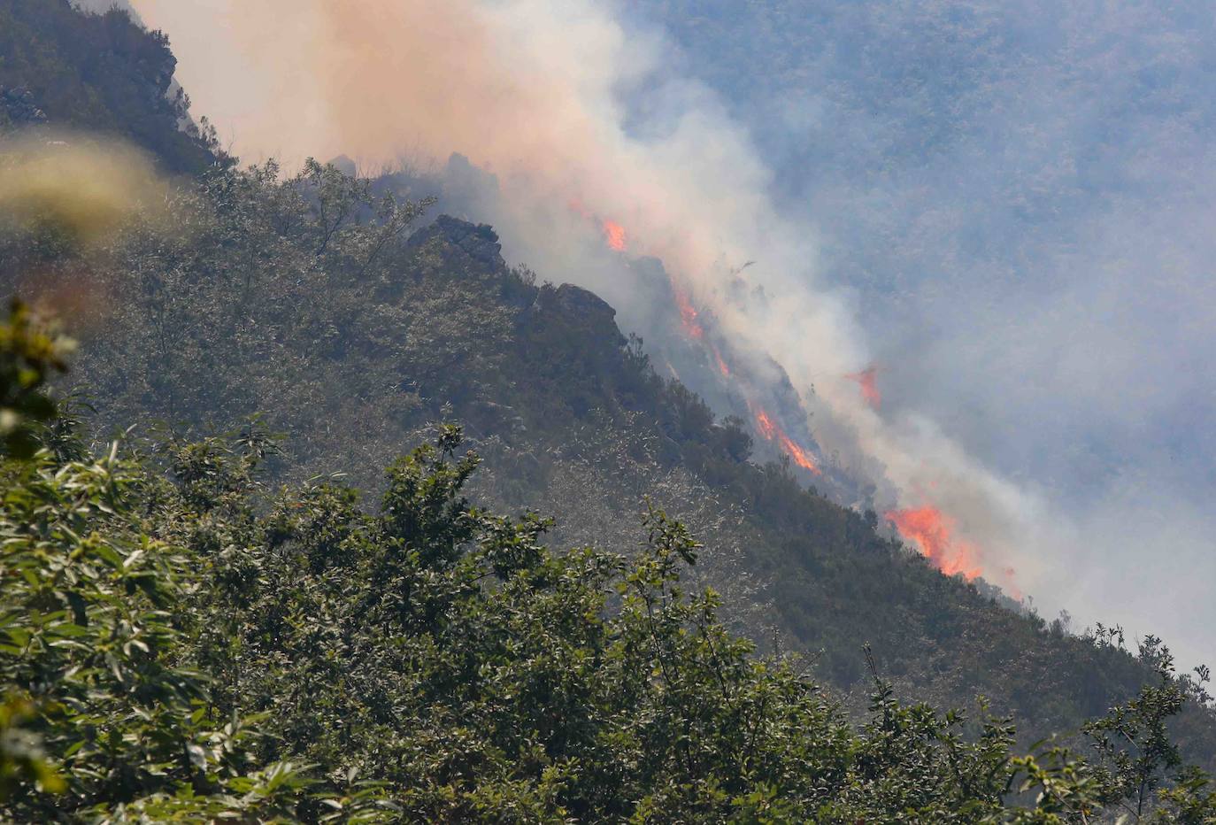 El fuego se localiza en el monte vecinal de Bello y Pando