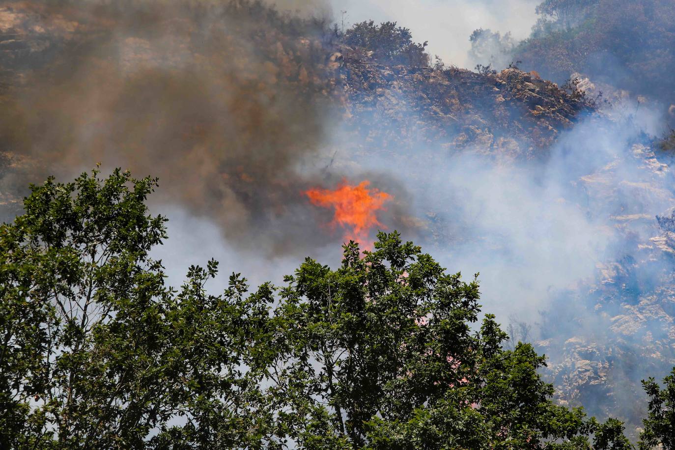 El fuego se localiza en el monte vecinal de Bello y Pando