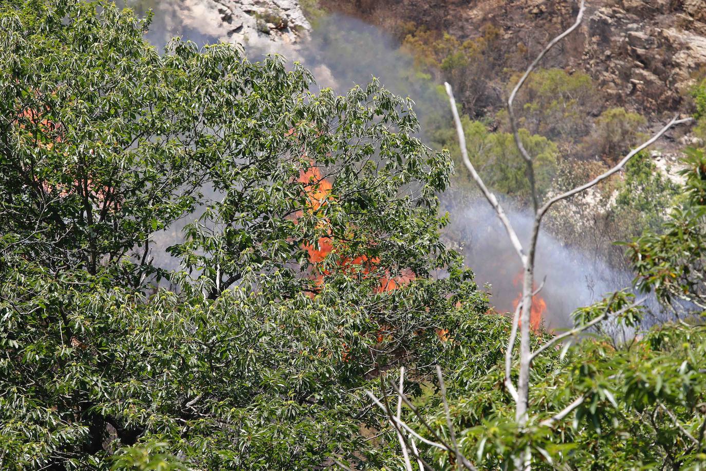 El fuego se localiza en el monte vecinal de Bello y Pando