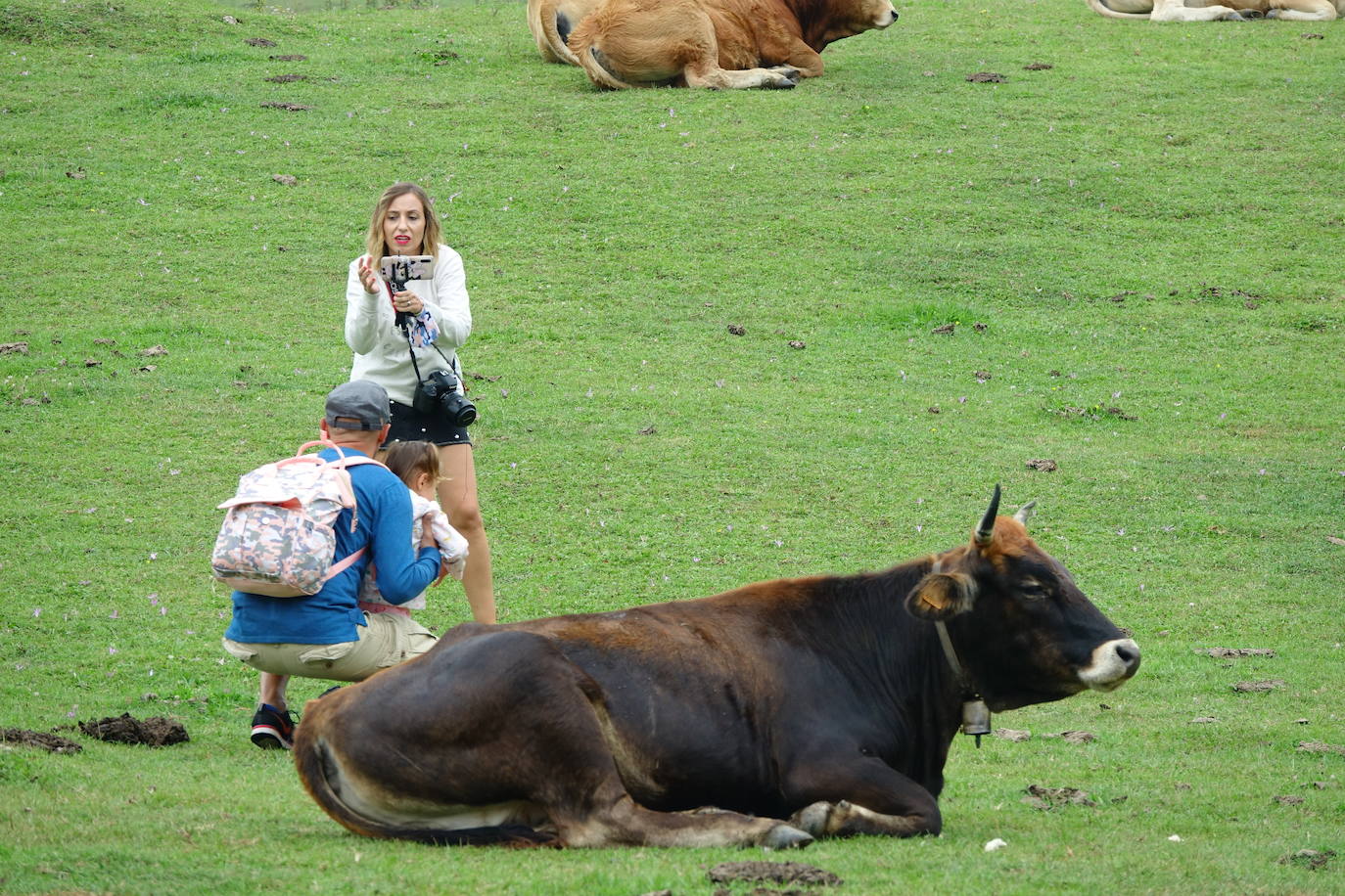 La región, que comienza el cambio de quincena con cielos nubosos, ha visto, no obstante, con sus puntos más turísticos se llenaban de visitantes. 