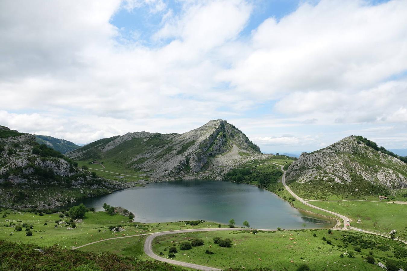 Lagos de Covadonga: Los Lagos de Covadonga, Ercina y Enol, son uno de los lugares con más encanto dentro del parque y uno de los lugares imprescindibles para visitar en Asturias. El origen de ambos lagos es de origen glaciar y se encuentran situados por encima de los mil metros de altitud el en Macizo Occidental de los Picos de Europa. Estos son los encargados de hacer las veces de espejos en medio de un paisaje de cuento. Por esta zona encontrarás también infinidad de rutas, incluyendo muchas de alta montaña.