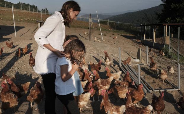 Una familia, entre gallinas en Pita Sana, una granja ecológica de Boal abierta a las visitas. 