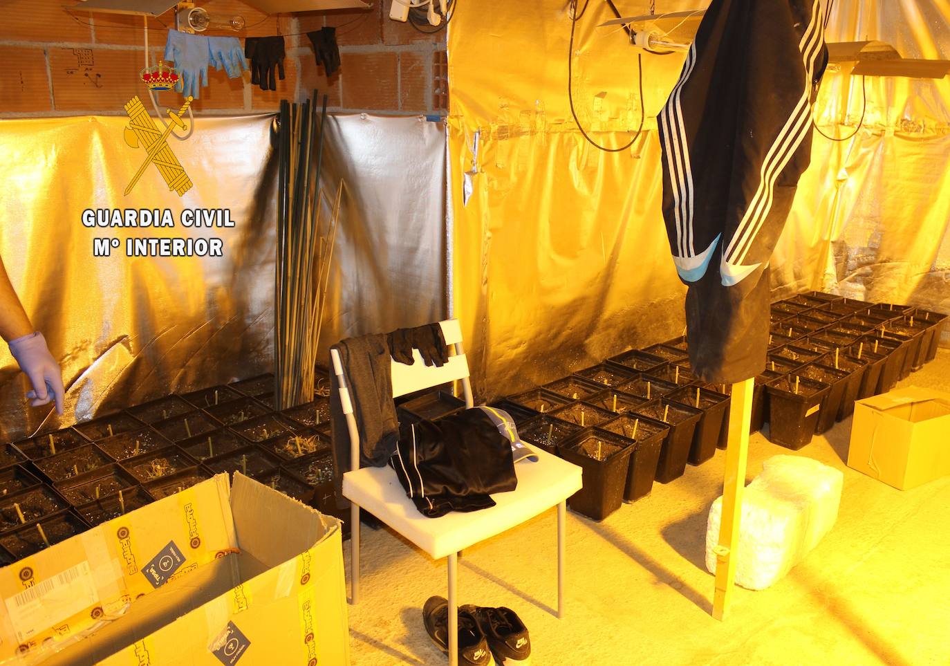 La Guardia Civil ha detenido a tres hombres por una plantación de marihuana en una vivienda de Oviedo, donde se hallaron droga valorada en unos 60.000 euros, útiles para el cultivo en otros 50.000 euros y tres carabinas.