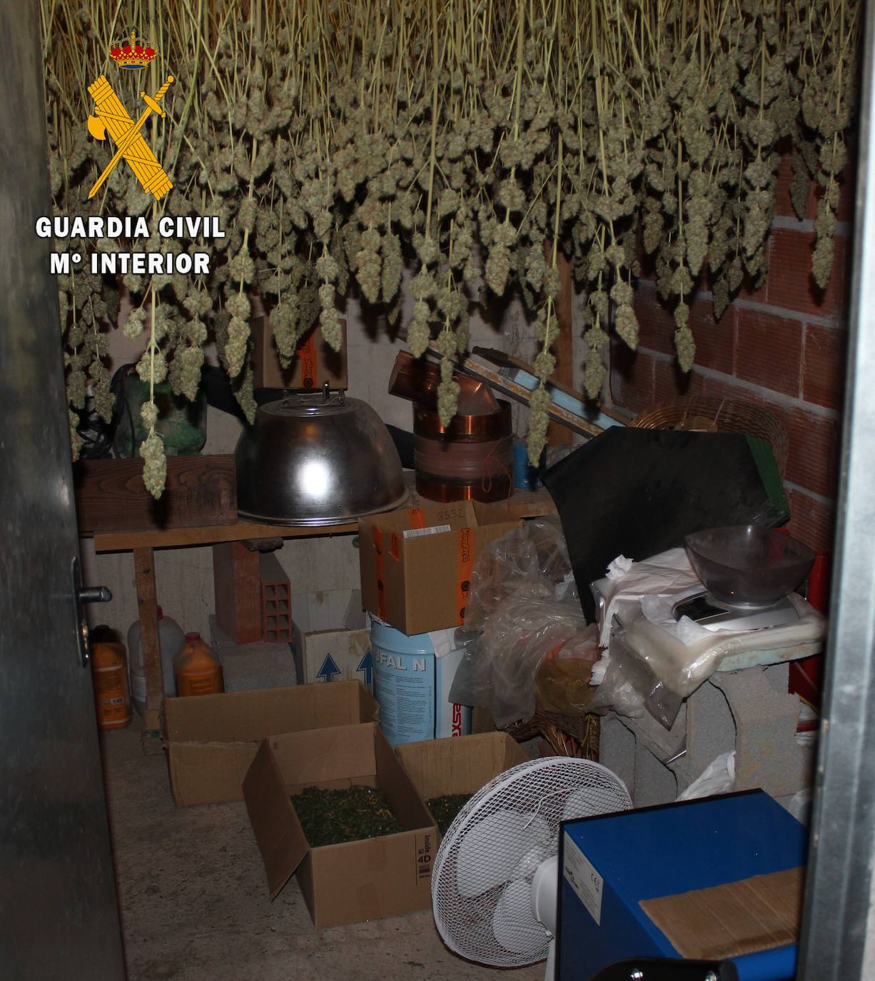 La Guardia Civil ha detenido a tres hombres por una plantación de marihuana en una vivienda de Oviedo, donde se hallaron droga valorada en unos 60.000 euros, útiles para el cultivo en otros 50.000 euros y tres carabinas.