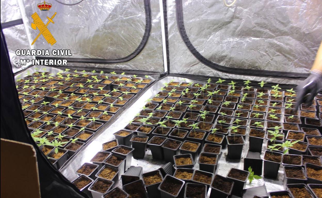 Un mail anónimo sirve para que la Guardia Civil desmantele un laboratorio de droga en Oviedo