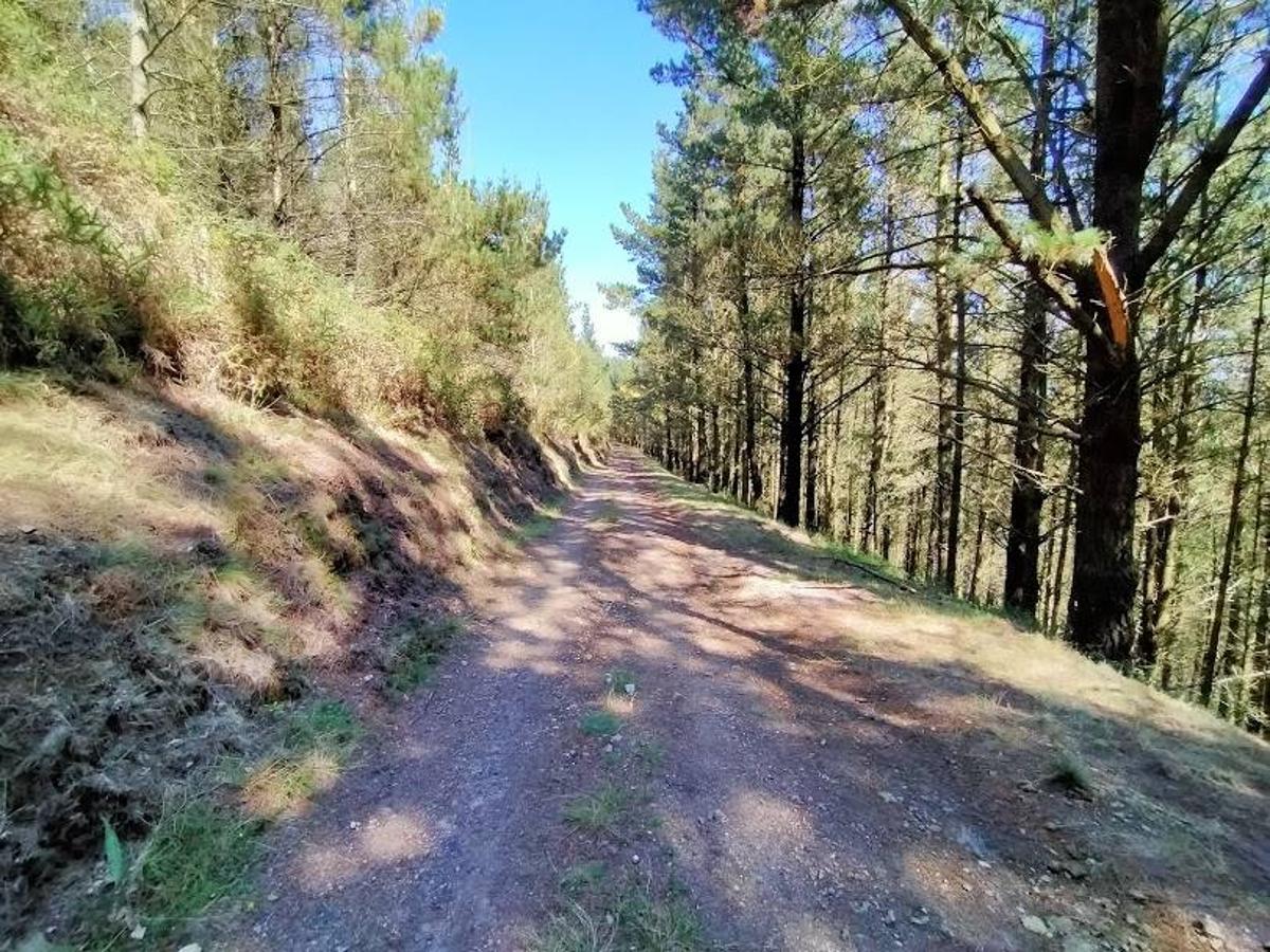 Fotos: Ruta de las Brañas Vaqueiras de Cudillero por el Parque Eólico Pumar