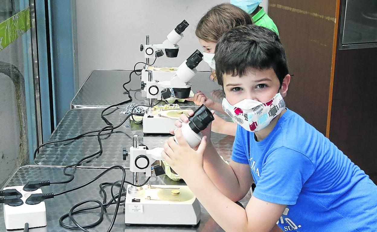 Un grupo de niños aprende a mirar a través de los microscopios. j. c. tuero