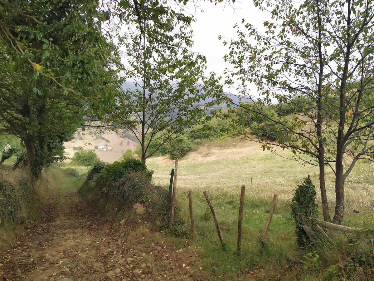 Fotos: Un viaje al pasado por la ruta del Dolmen de Merillés