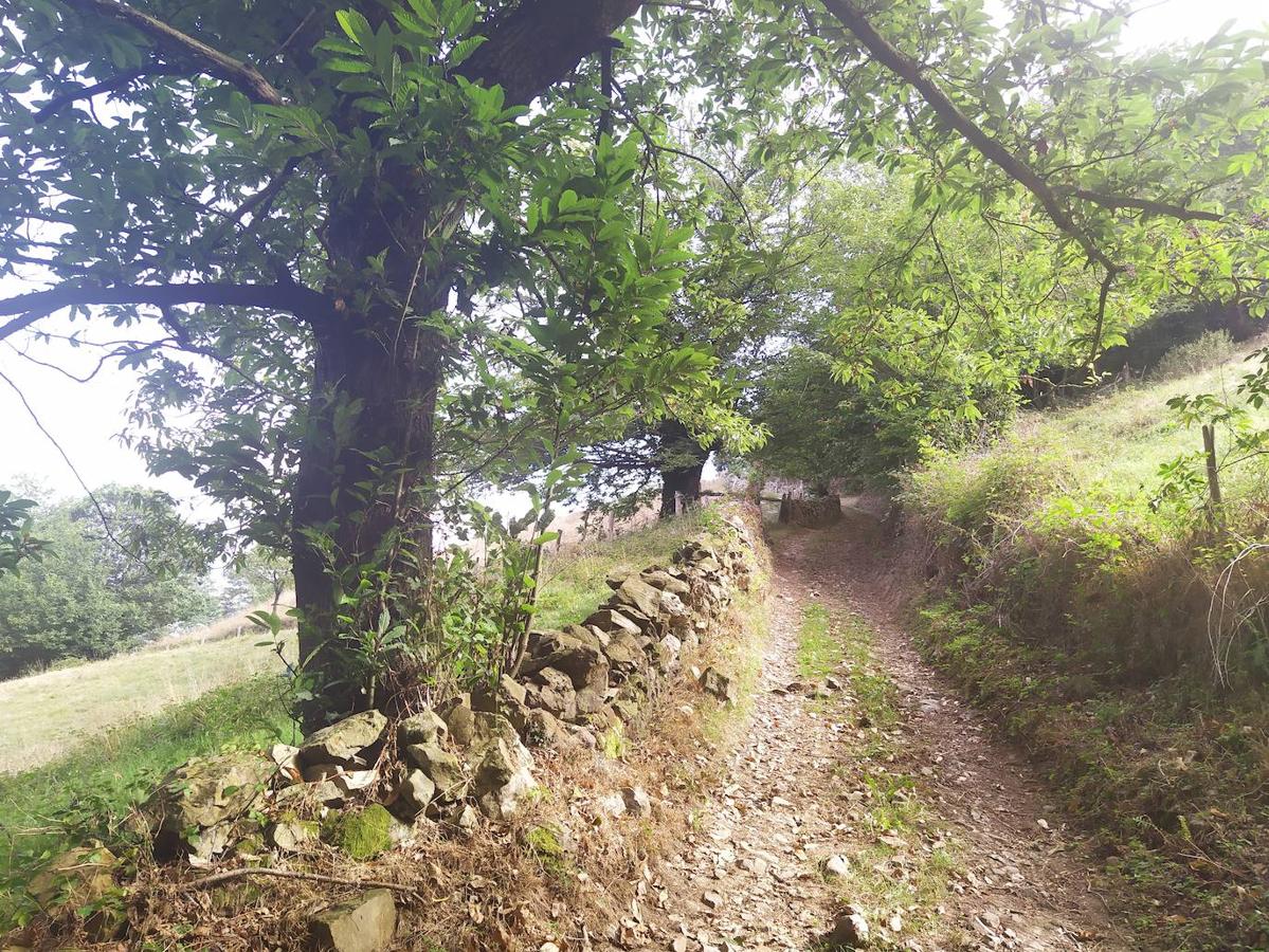 Fotos: Un viaje al pasado por la ruta del Dolmen de Merillés