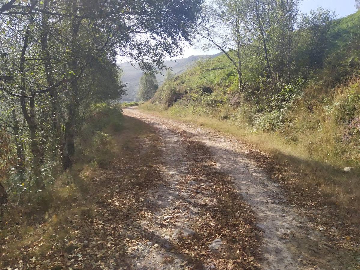 Fotos: Un viaje al pasado por la ruta del Dolmen de Merillés