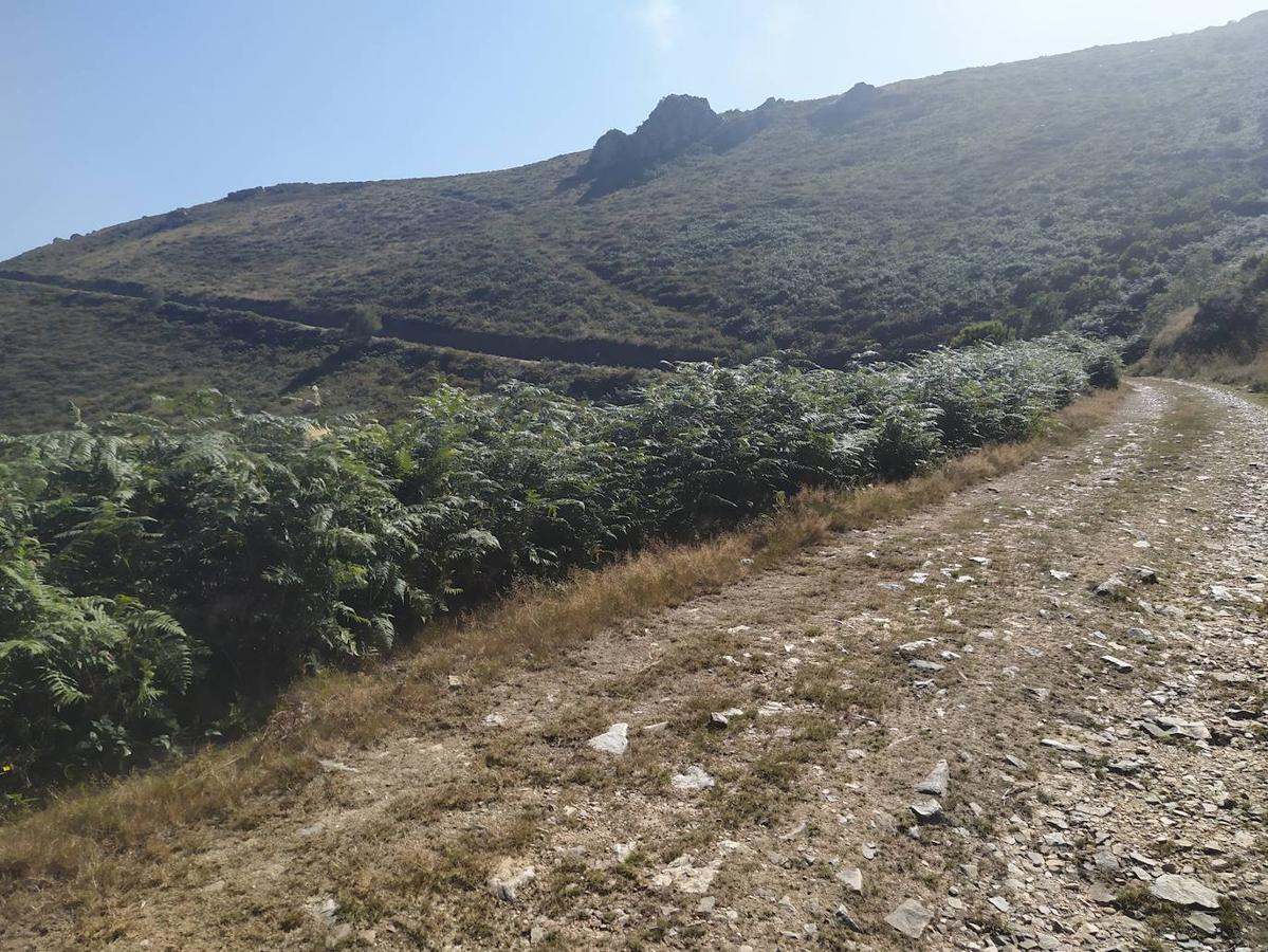 Fotos: Un viaje al pasado por la ruta del Dolmen de Merillés