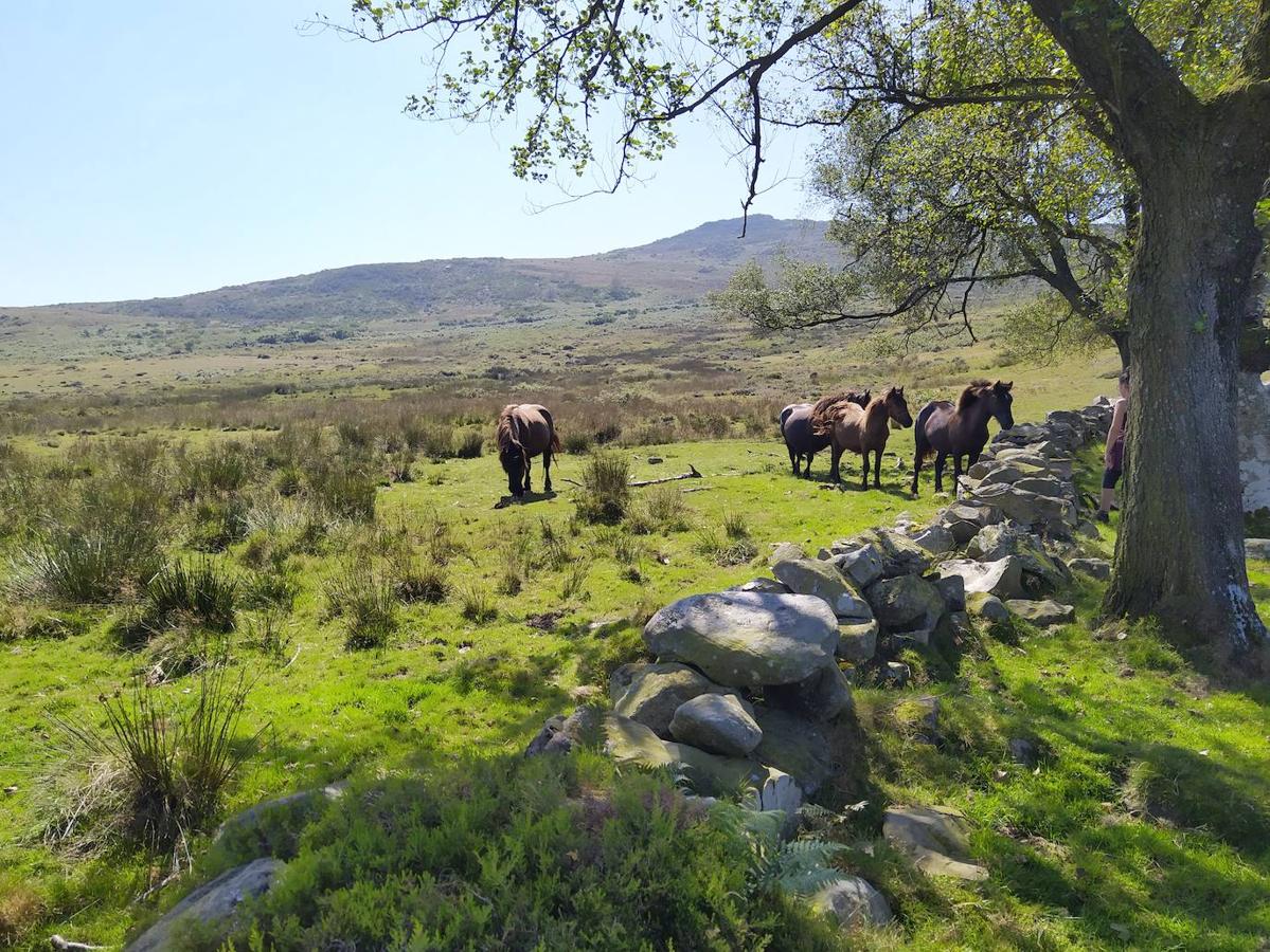 Fotos: Un viaje al pasado por la ruta del Dolmen de Merillés