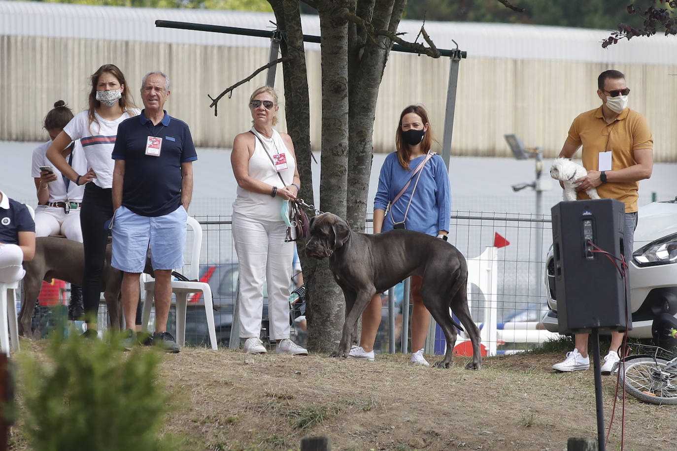 Entrega del Premio EL COMERCIO de la prueba hípica en el Chas