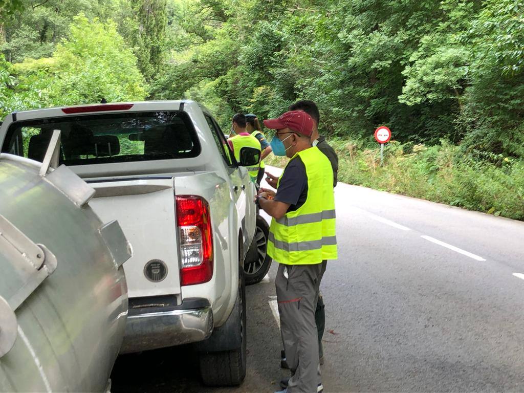 El animal salió de improviso a la calzada, por lo que el conductor que lo atropelló no pudo evitar el accidente.