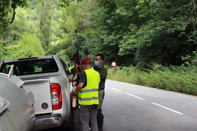 El animal salió de improviso a la calzada, por lo que el conductor que lo atropelló no pudo evitar el accidente.