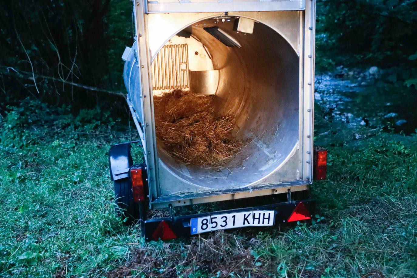 La búsqueda del plantígrado resulta compleja debido a las dificultades de acceso en una zona de monte bajo