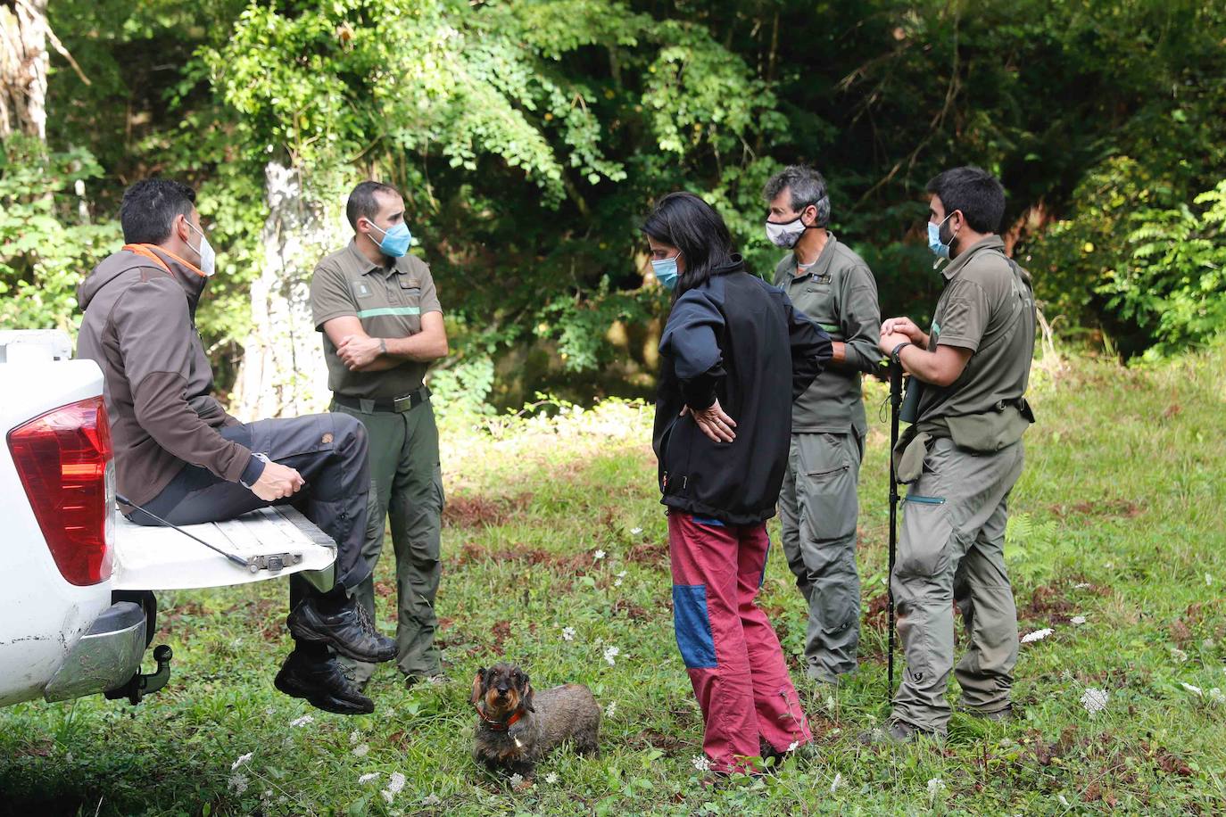 La búsqueda del plantígrado resulta compleja debido a las dificultades de acceso en una zona de monte bajo