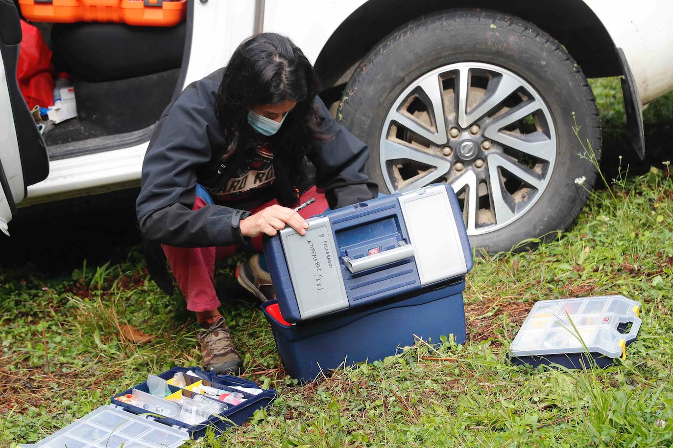 La búsqueda del plantígrado resulta compleja debido a las dificultades de acceso en una zona de monte bajo