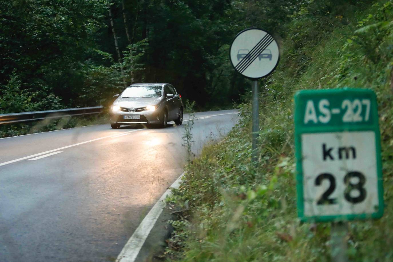 La búsqueda del plantígrado resulta compleja debido a las dificultades de acceso en una zona de monte bajo