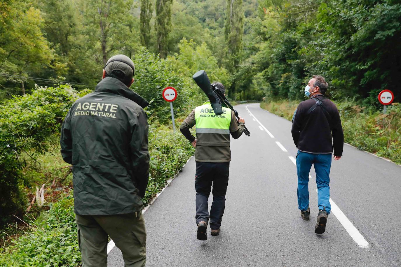 La búsqueda del plantígrado resulta compleja debido a las dificultades de acceso en una zona de monte bajo