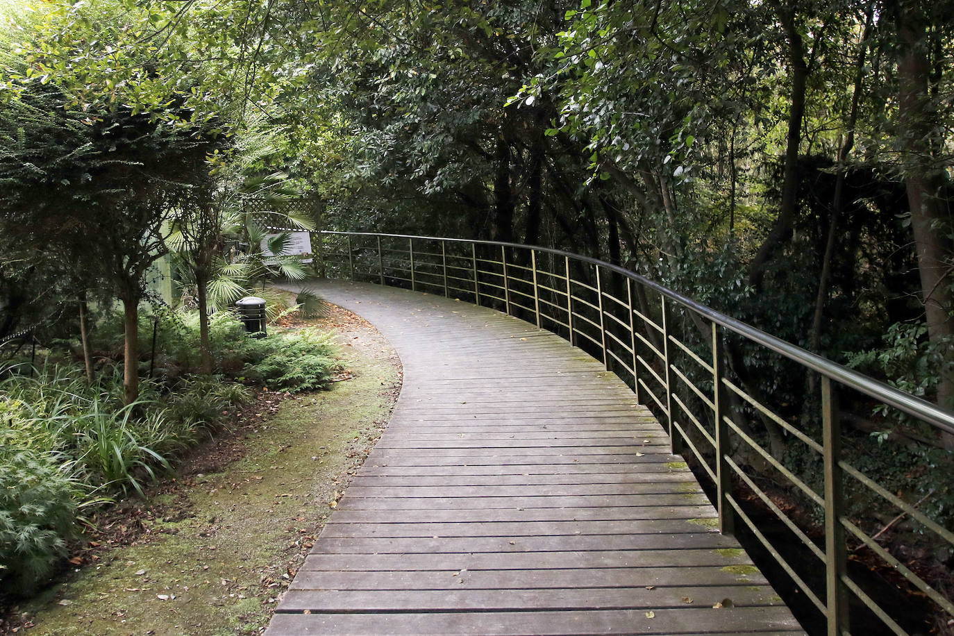 El Jardín Botánico Atlántico de Gijón es un espacio vivo, que ocupa 25 hectáreas de terreno perfectamente diseñadas y se convierte en un gran expositor, un microcosmos verde y florido en el que crecen multitud plantas y árboles