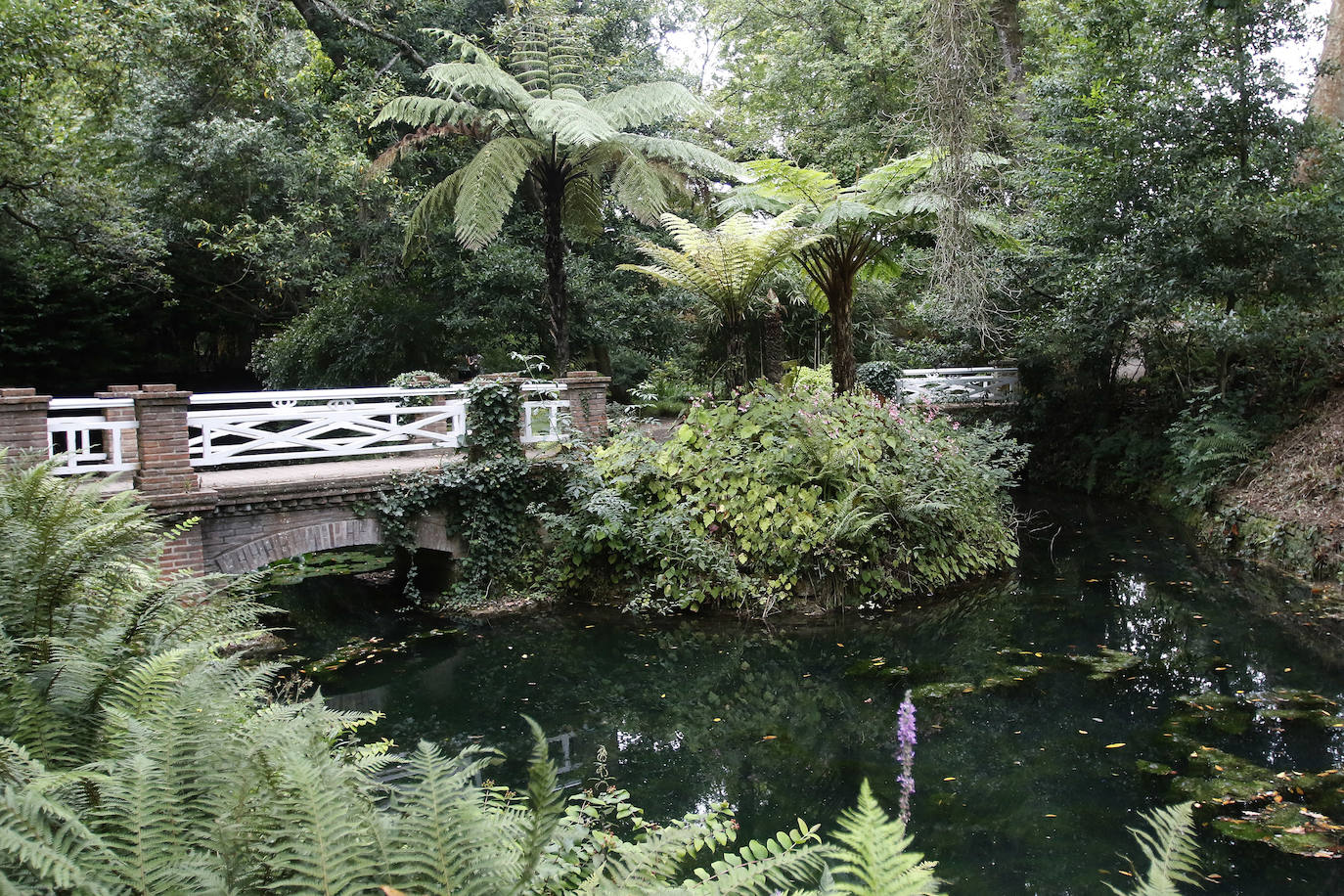 El Jardín Botánico Atlántico de Gijón es un espacio vivo, que ocupa 25 hectáreas de terreno perfectamente diseñadas y se convierte en un gran expositor, un microcosmos verde y florido en el que crecen multitud plantas y árboles