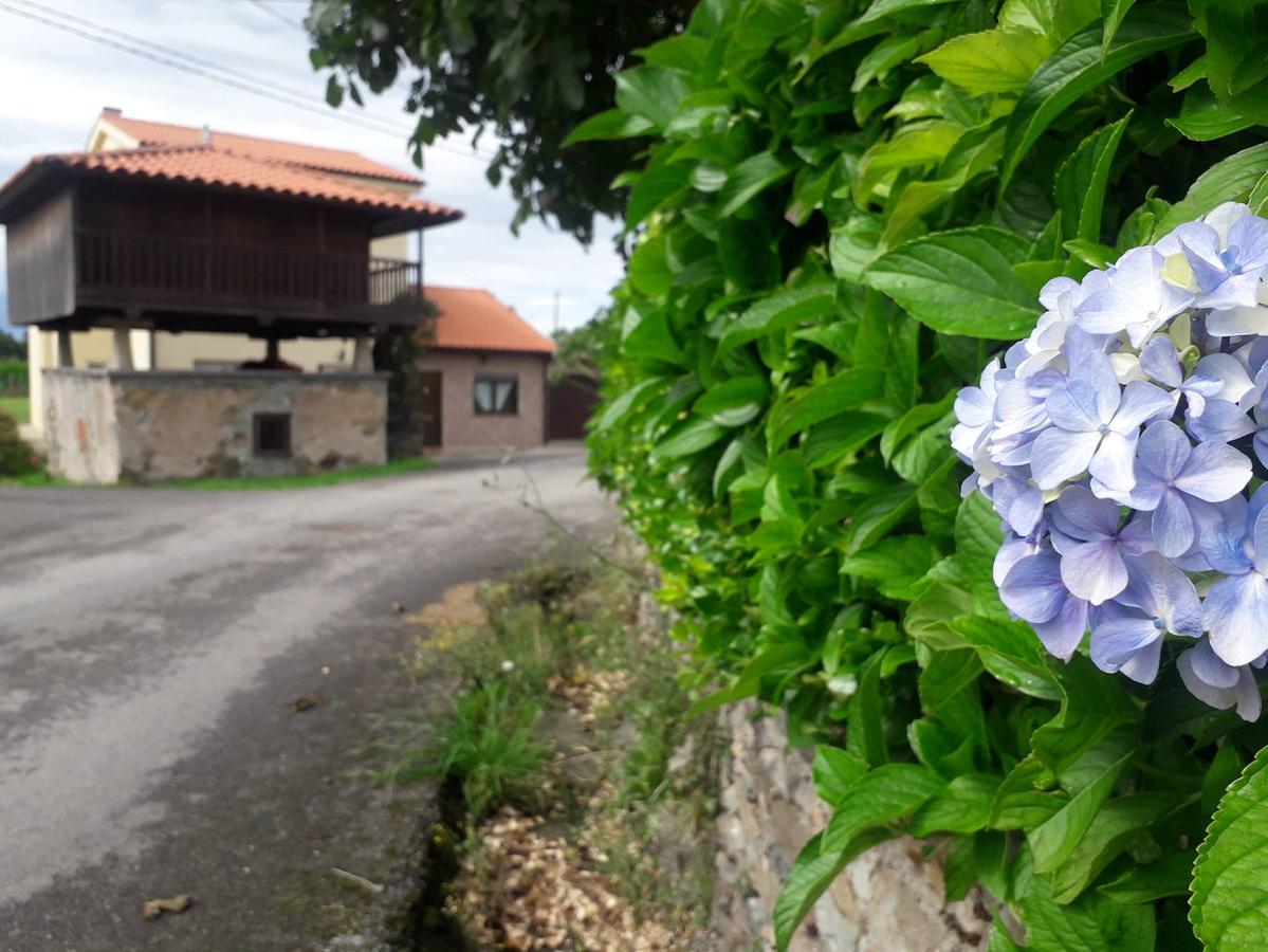 Fotos: Una caminata hasta las Trincheras de Ranón y su imponente mirador