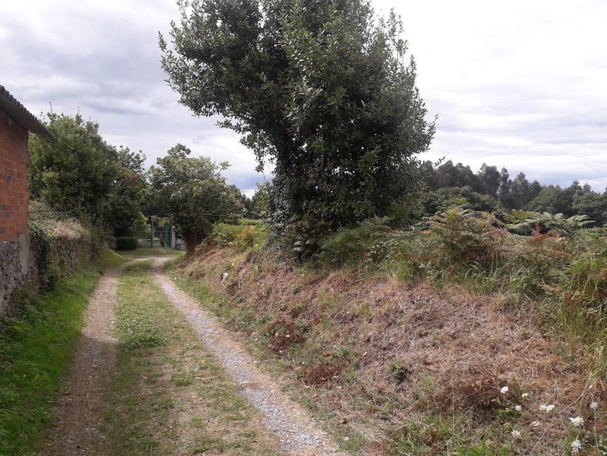 Fotos: Una caminata hasta las Trincheras de Ranón y su imponente mirador